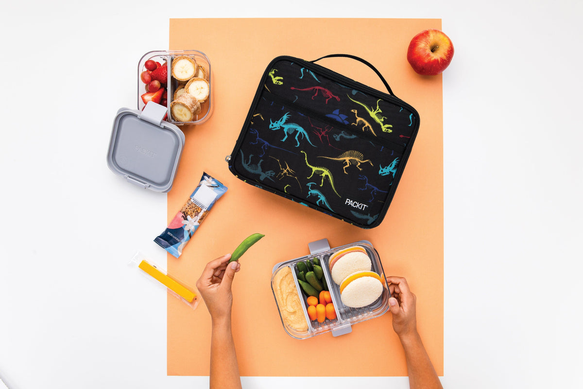 freezable-lunch-box-limited-edition-j9 2022_Lifestyle_Lunch-Box_Dino_Fossils_Hires.jpg
