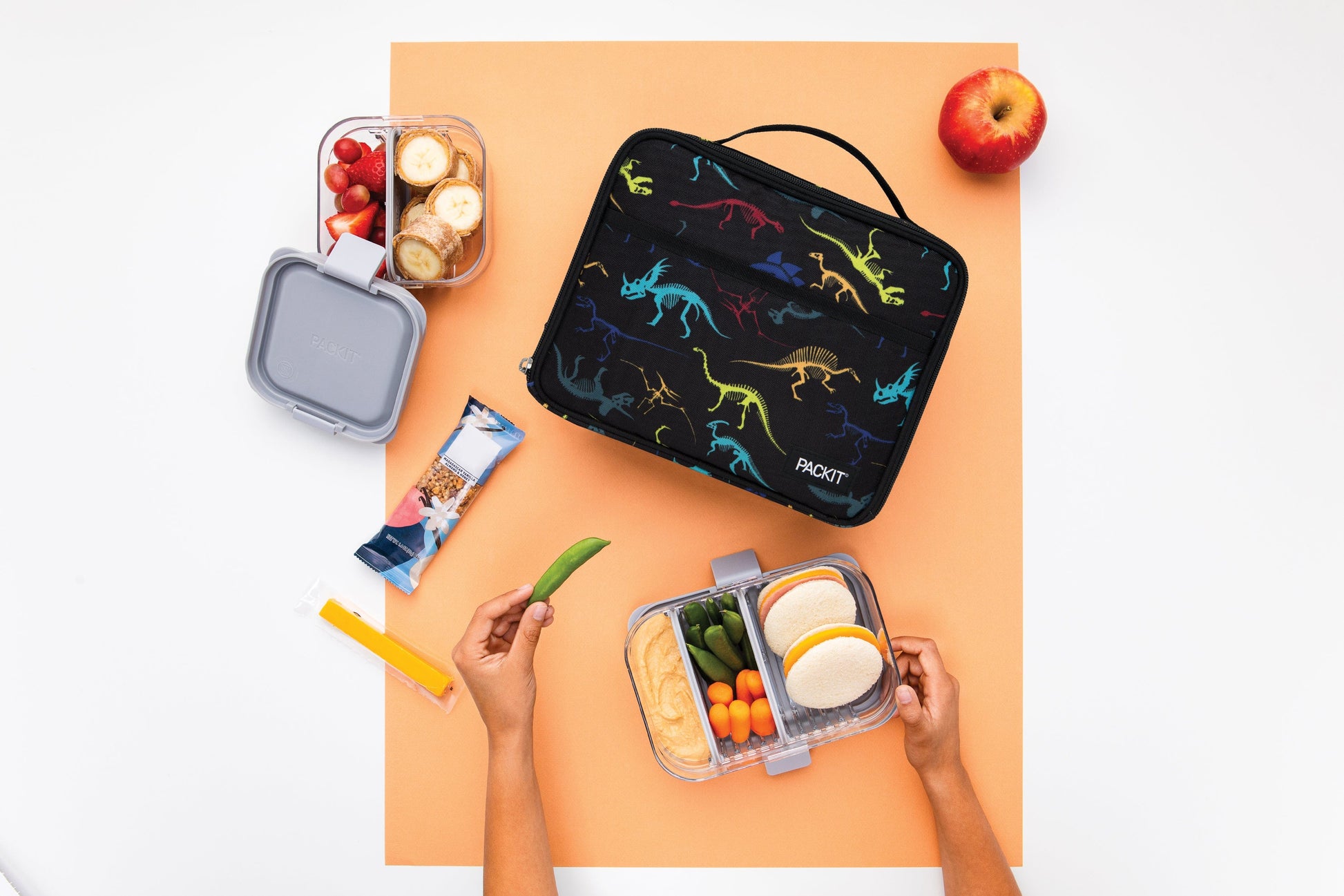 freezable-lunch-box-limited-edition-j9 2022_Lifestyle_Lunch-Box_Dino_Fossils_Hires.jpg