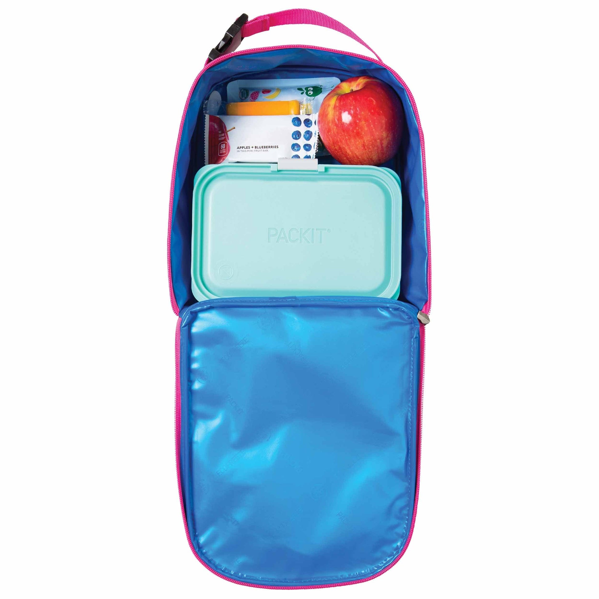 freezable-playtime-lunch-box-b0 freezable-playtime-lunch-box-popsicle-top-down.jpg